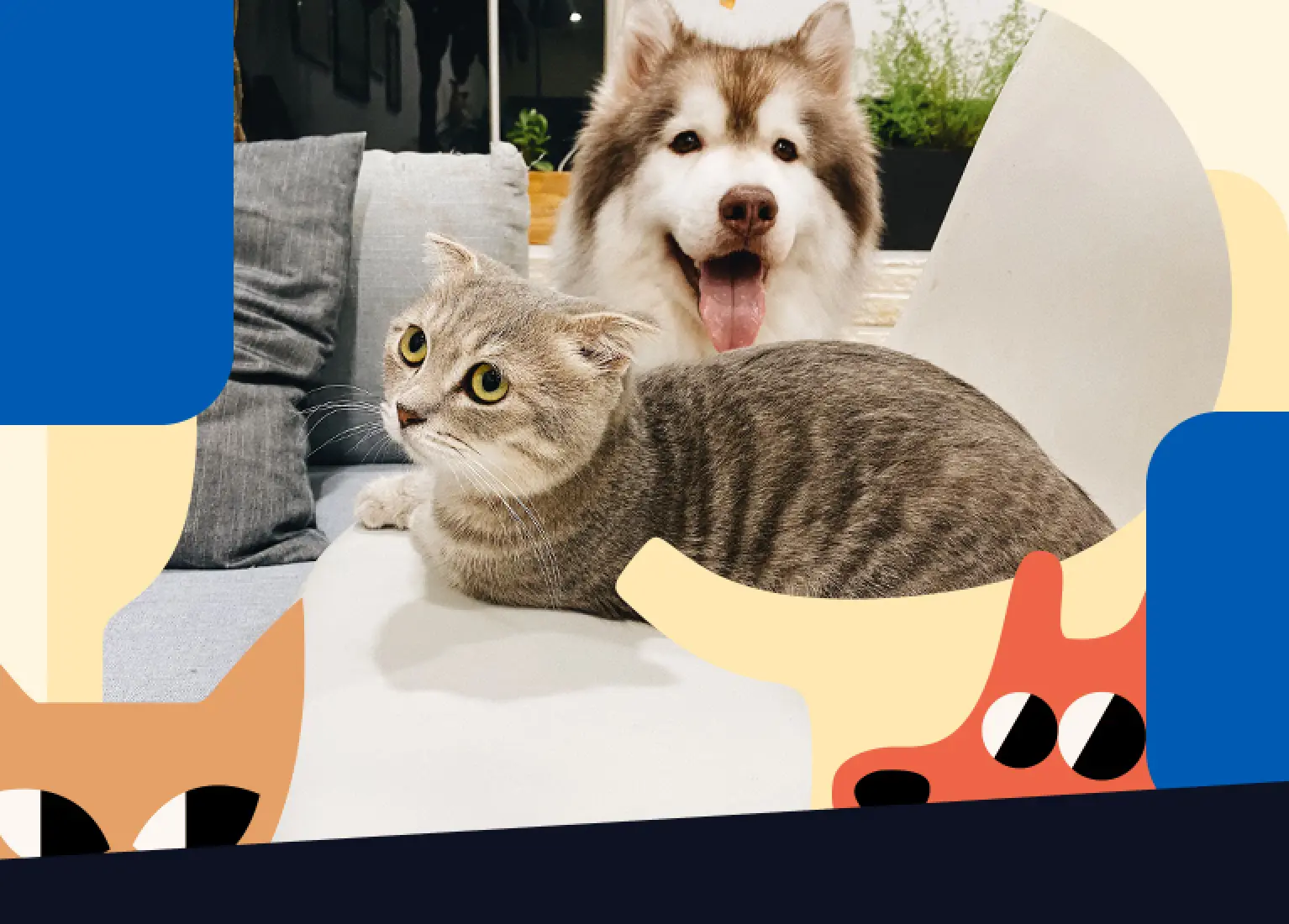 Foto de um cachorro e um gato deitados em um sofá branco, representando a Petz