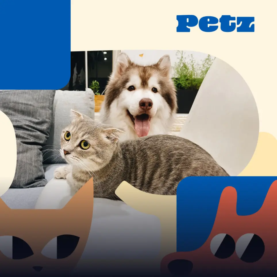 Dog and a cat lying on a white couch, representing Petz.